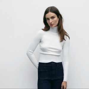 Zara Ribbed Knit Turtleneck NWT